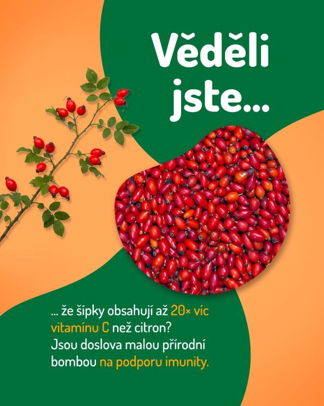 🌹 Věděli jste, že…? …šípky obsahují až 20× víc vitaminu C než citron! 🍋 Jsou doslova malou přírodní bombou na podporu...